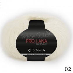 02 - pieno Pro Lana Kid Seta
