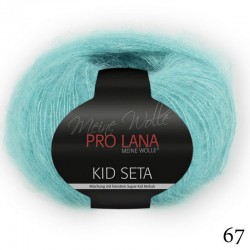 67 - turkio Pro Lana Kid Seta