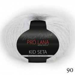 90 - sidabro Pro Lana Kid Seta
