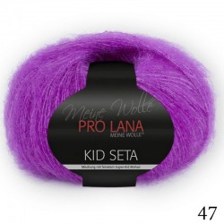 47 - violetinė petunija Pro Lana Kid Seta